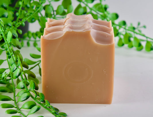 Black Raspberry Vanilla Hand & Body Bar